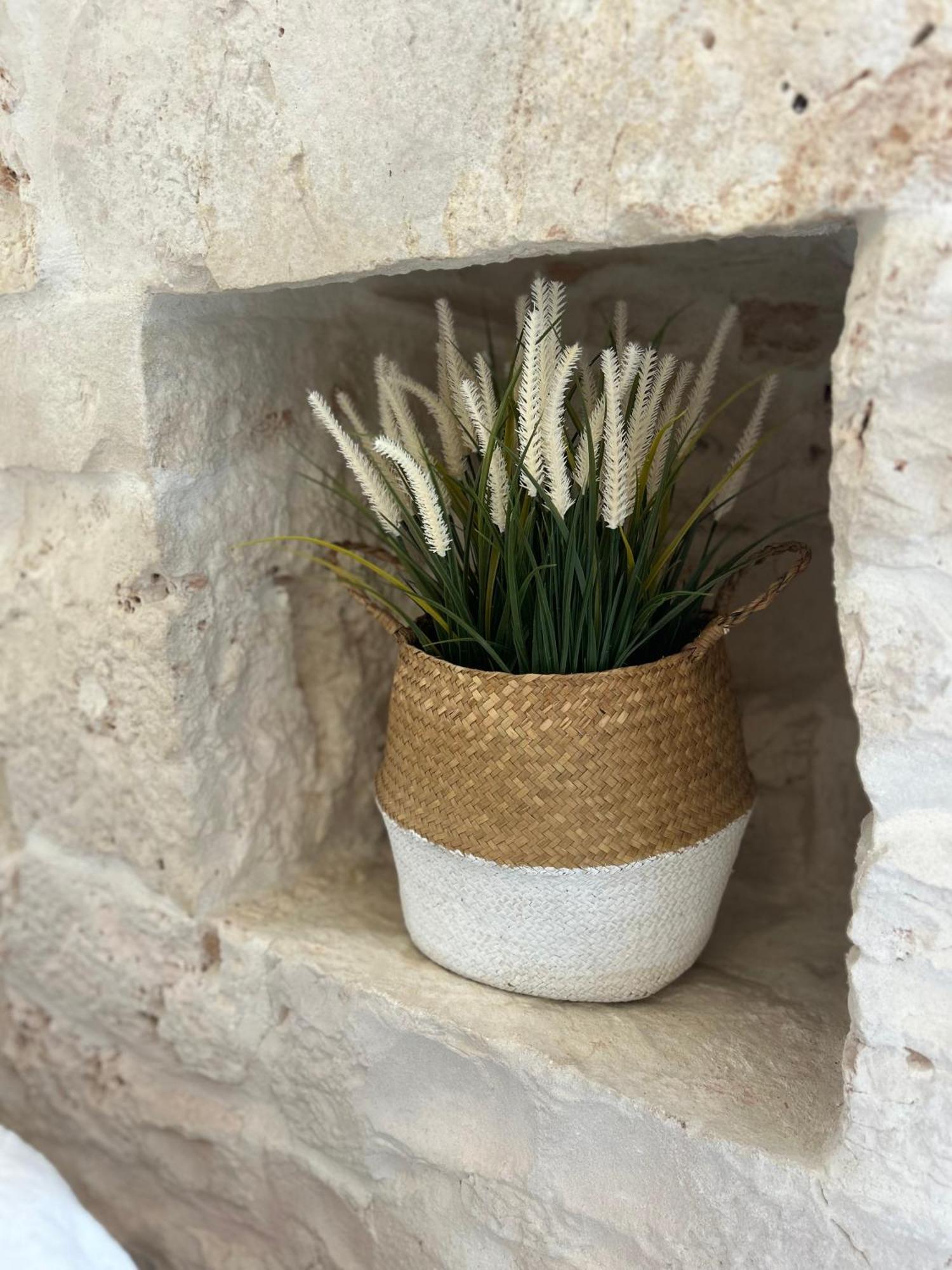 Trulli In Contrada - Monopoli Guest House Bagian luar foto