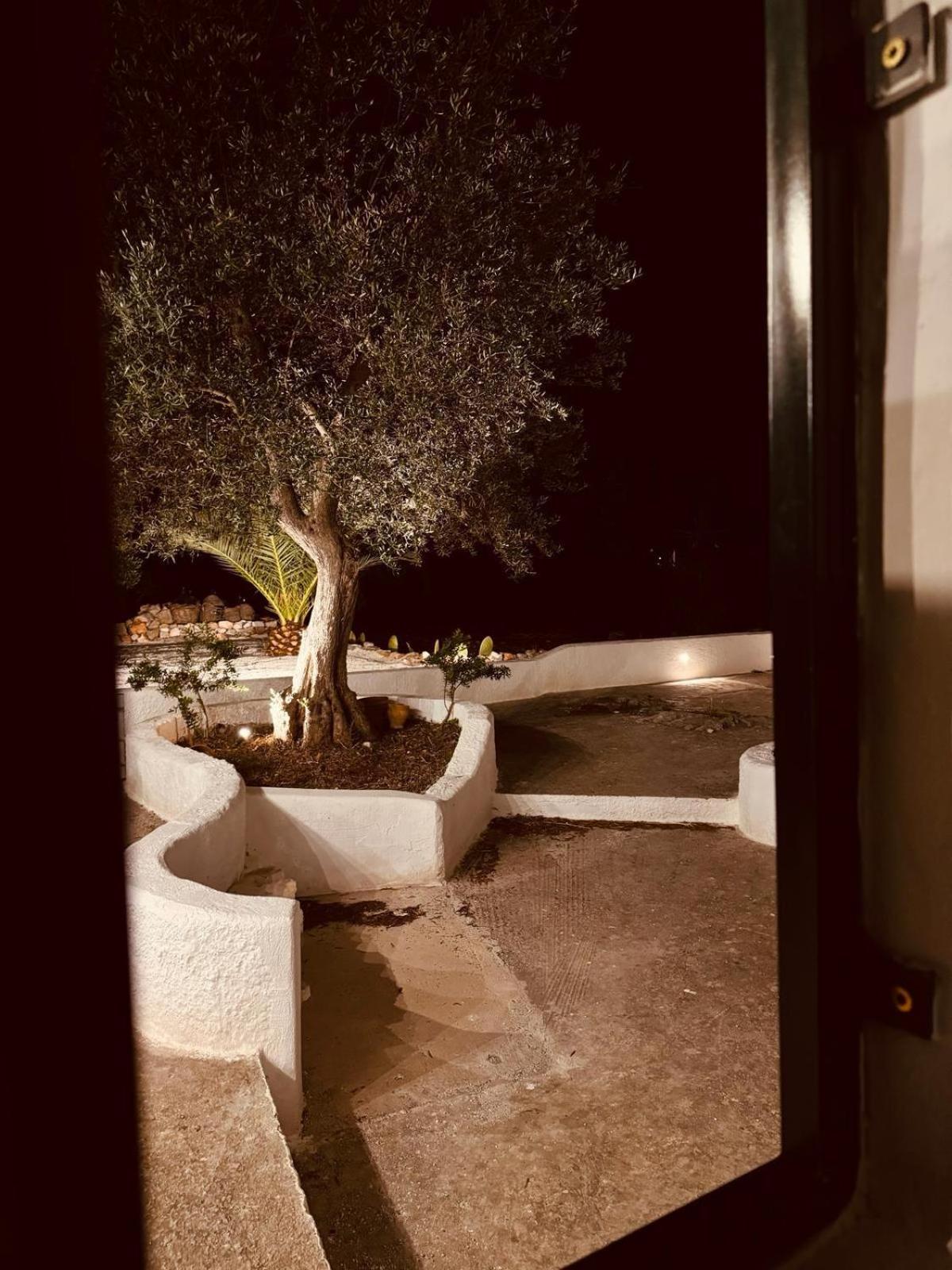 Trulli In Contrada - Monopoli Guest House Bagian luar foto