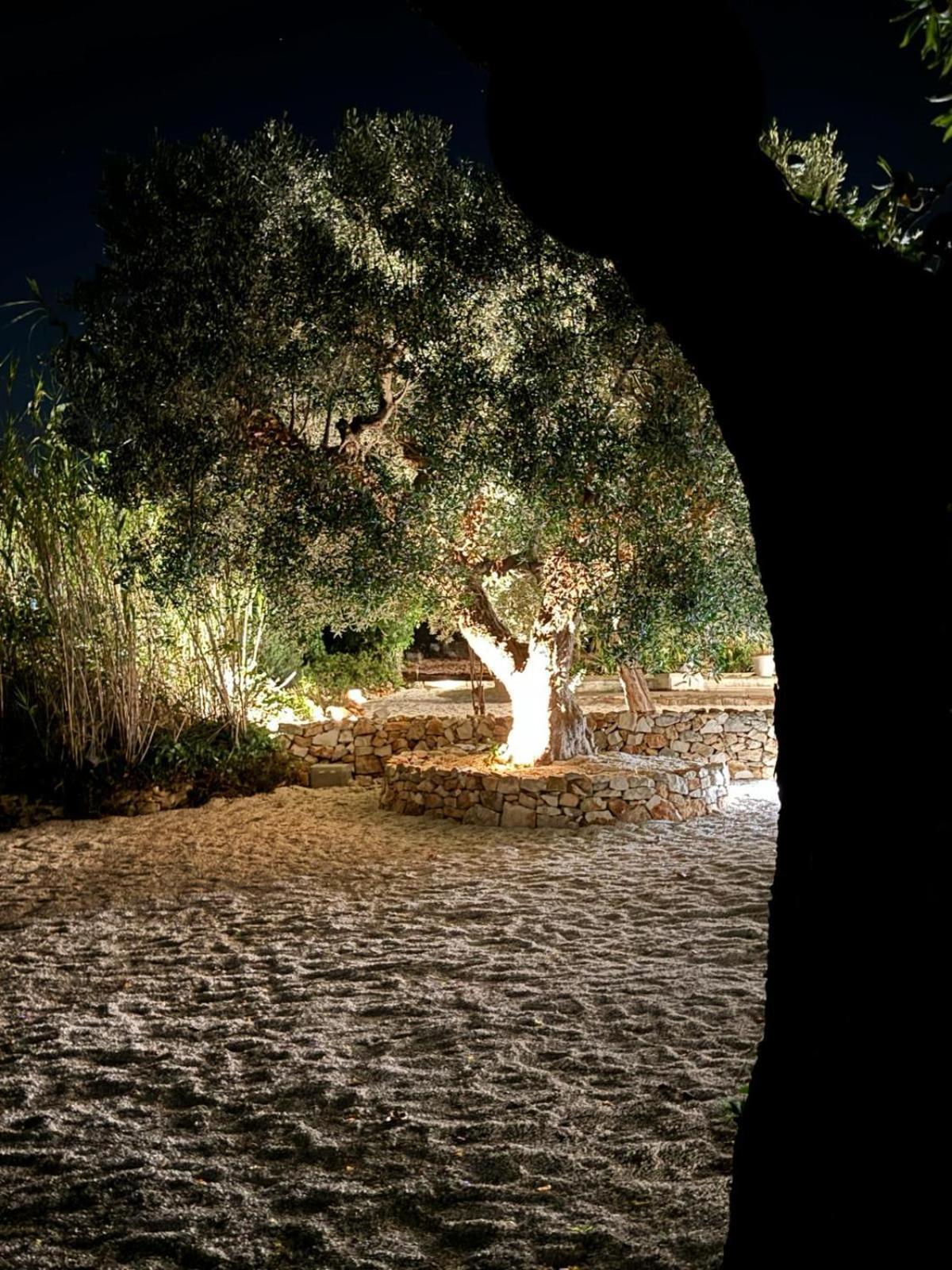 Trulli In Contrada - Monopoli Guest House Bagian luar foto
